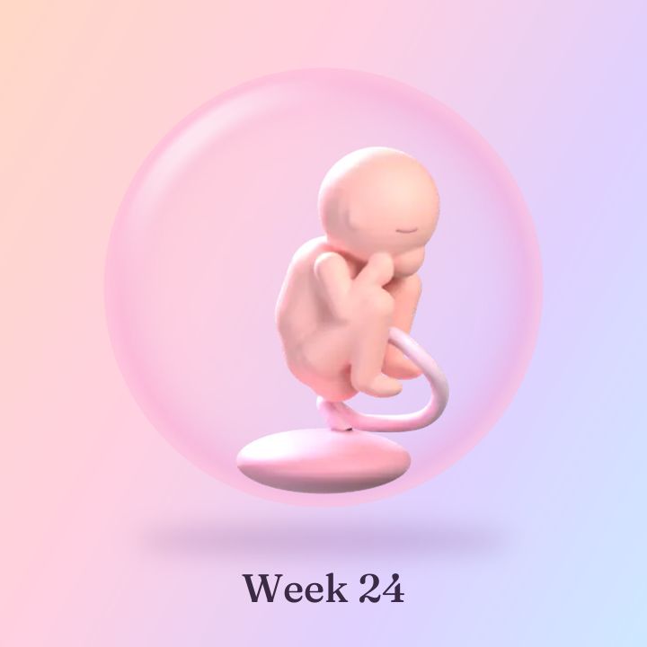 Tiny Orchard's 3D illustration for week 24: a larger baby curled up inside a soft pink sac.